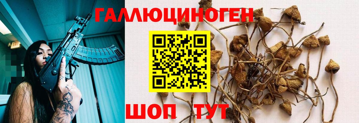 Галлюциногенные грибы ЛСД  Вход с VPN  как найти наркотики  Кисловодск 